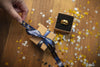 TZe-RN34 12mm gold on navy blue - Gift Wrapping.jpg